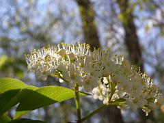 april2609 (46)